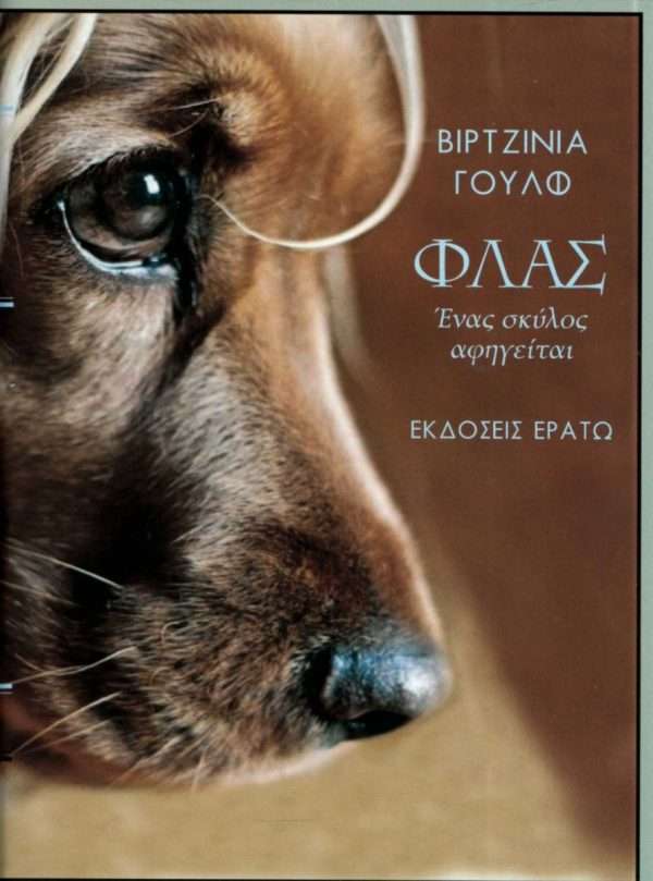 Φλας Ένας σκύλος αφηγείται